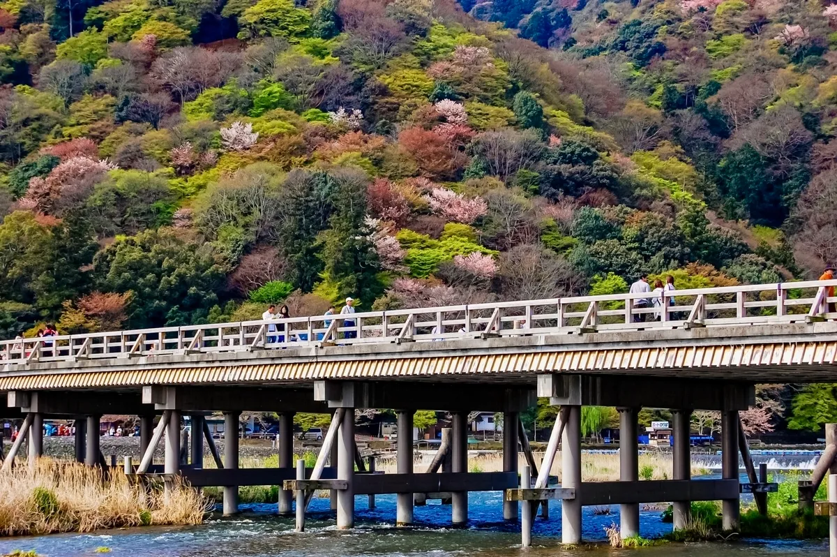 สะพานโทเก็ตสึเคียวในฤดูใบไม้ผลิ