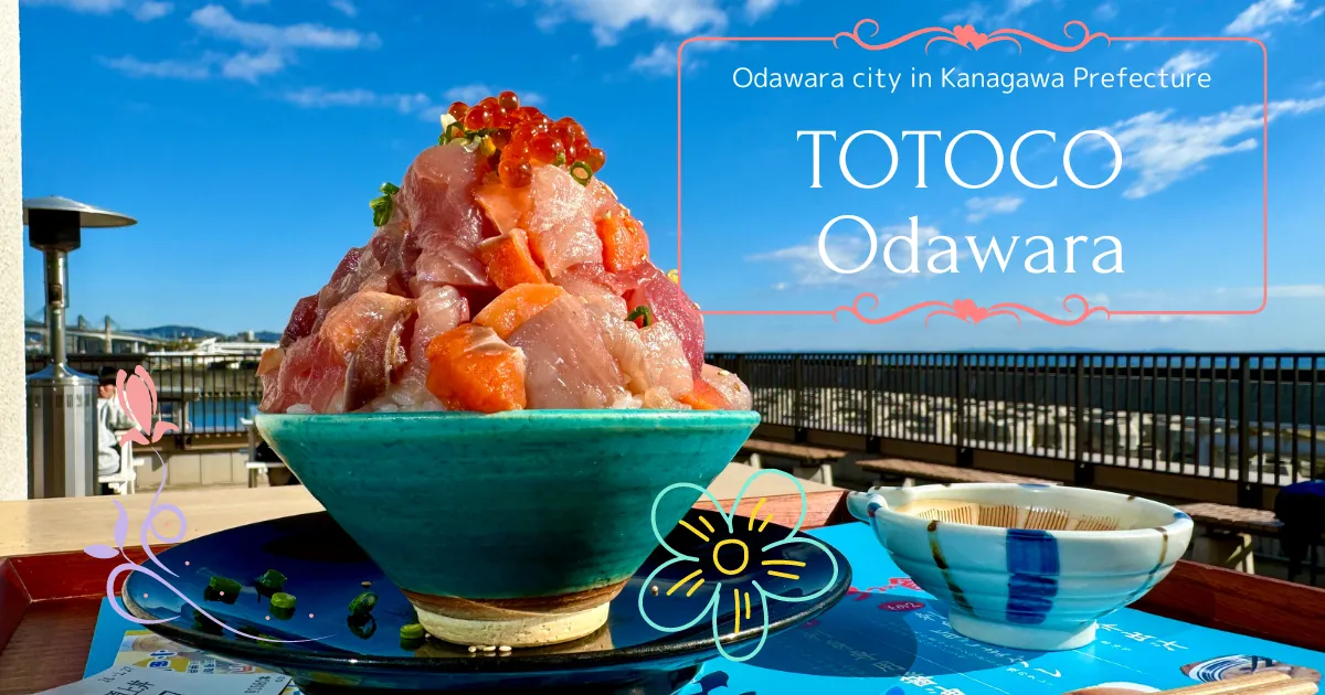 TOTOCO Odawara: สถานที่ยอดนิยมสำหรับการเพลิดเพลินกับอาหารทะเลสดใหม่ใน Odawara