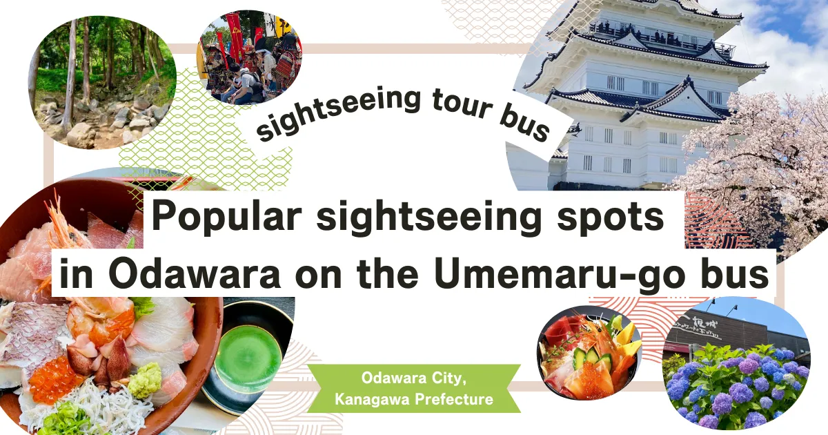 สถานที่ท่องเที่ยวยอดนิยมในโอดาวาระที่สามารถเข้าถึงได้โดยรถบัสนำเที่ยว "อุเมะมารุ" ที่ออกจากสถานีโอดาวาระ