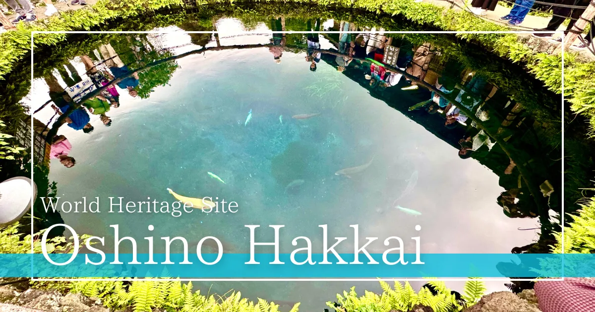 Oshino Hakkai: ความมหัศจรรย์ของน้ำพุจากภูเขาไฟฟูจิ