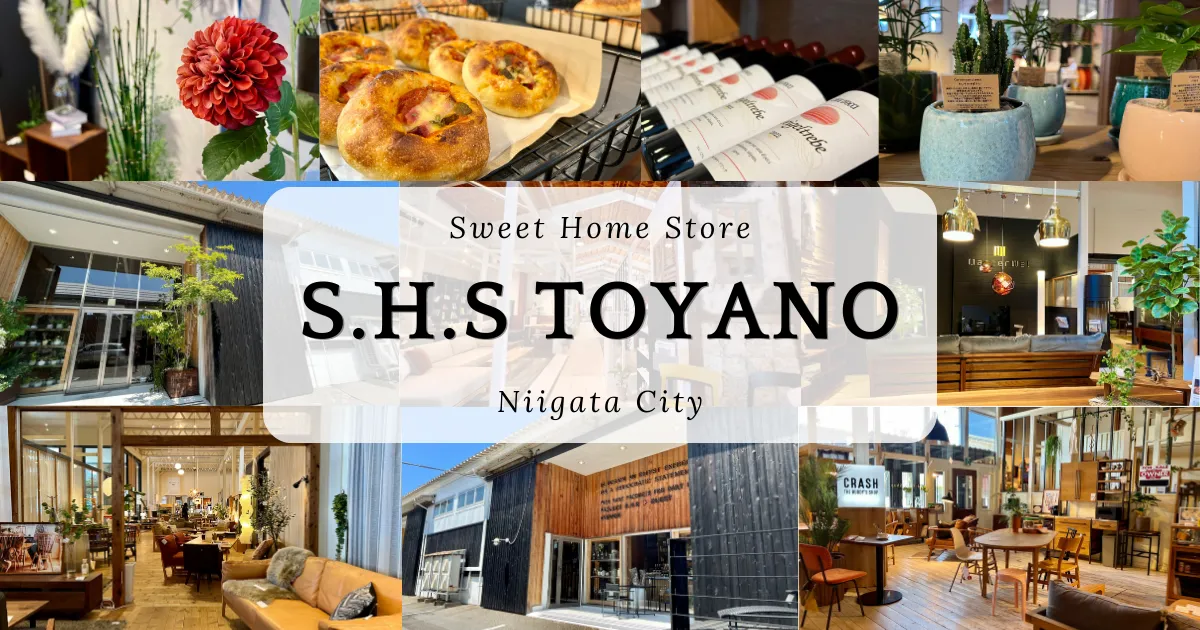 S.H.S Toyano: ร้านเฟอร์นิเจอร์และของตกแต่งภายในยอดนิยมในนีงะตะ การออกแบบพื้นที่โดยรวมนั้นยอดเยี่ยมมาก