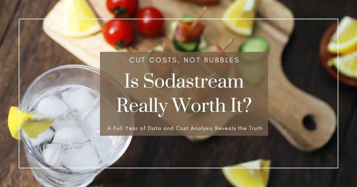 Sodastream คุ้มค่าจริงหรือไม่? วิเคราะห์ต้นทุนและการประหยัดจากข้อมูลตลอด 1 ปีเต็ม